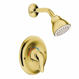 Shower-head-and-valve-gold-color