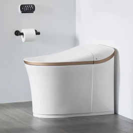 White-one-piece-toilet